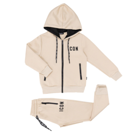 Back to Icon set - beige