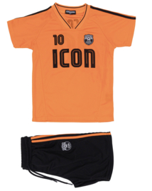 Icon number 10 set - oranje