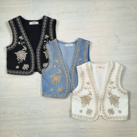 Gotta have it gilet
