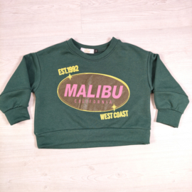 Malibu West Coast Sweater – Groen