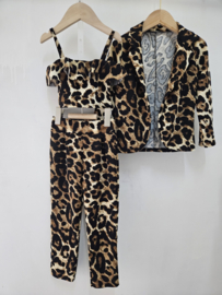 What you need set - Leopard