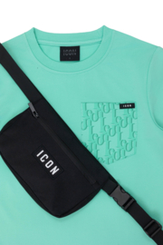 Icon Explorer Set - mint