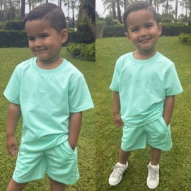 Icon ready for summer set - mint