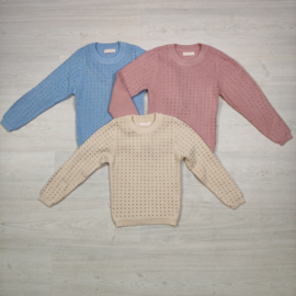 Sparkle Knit Sweater