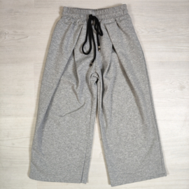 Everyday Wide Leg Pants - grijs