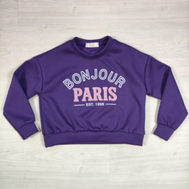 Bonjour Paris Sweater - paars