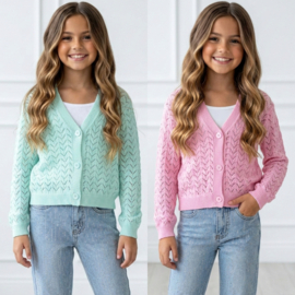 Sweet Breeze Openwork Vest - mint of roze