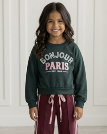 Bonjour Paris Sweater