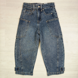 Sparkle Utility Jeans