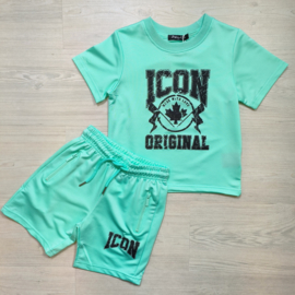 Icon flags set - mint