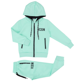 Back to Icon set - mint