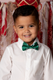 Snowflake bow tie - groen