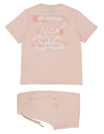 Icon swipe set - zalm (verzenddatum 21 apr)