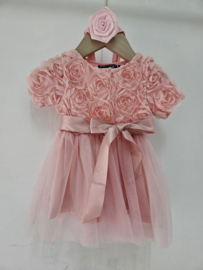 Rosalie Bloom Baby Dress - roze (verzenddatum 24 apr)