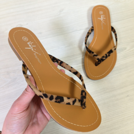 Basic slipper - Leopard