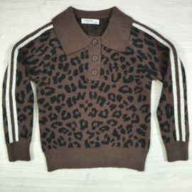 Wild Stripe Knit Polo - bruin