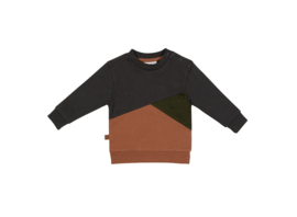 Dino Park Sweater Colour Block