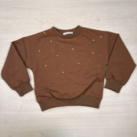 Sparkle Pearl Sweater - bruin