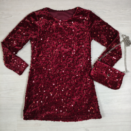 Party Glam Sequin Dress & bag - bordeaux