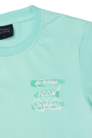 Icon swipe set - mint