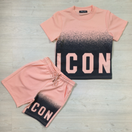 Faded icon set - salmon