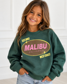Malibu West Coast Sweater – Groen
