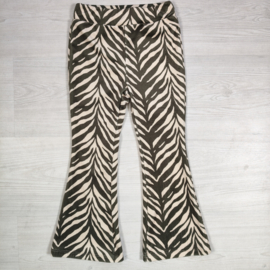 Wild Zebra Velvet Flared - groen