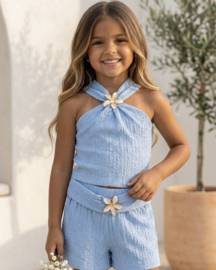 Sky Blue Flower Set