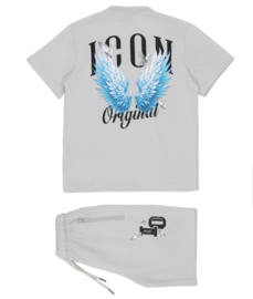 Icon fly set - grijs (verzenddatum 21 apr)