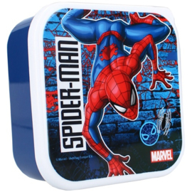 Snackbox (3in1) Spiderman