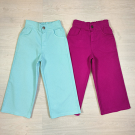 The mint or fuchsia pants