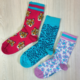 Leopard socks 3 pack- Blue