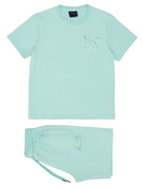 Icon swipe set - mint