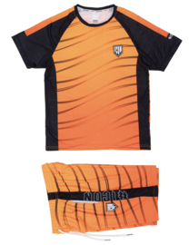 Icon motion set - oranje