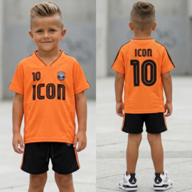 Icon number 10 set - oranje