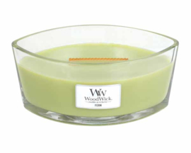 "Fern" WoodWick candle Ellipse