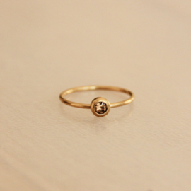 Stalen minimalistische ring met steentje – champagne