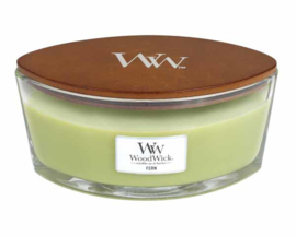 "Fern" WoodWick candle Ellipse