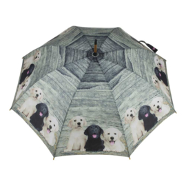 Paraplu "Mars & More", Labrador pups
