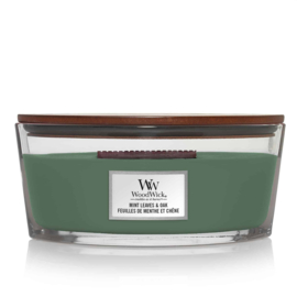 "Mint Leaves & Oak" WoodWick candle Ellipse