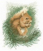 John Stubbs - Red Squirrel