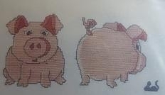 DHC - Het Varken - The Pig