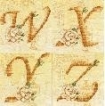 Letter W, X, Y or Z