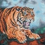 Kat Davies - Wild en Vrij - Tijger - Wild and Free - Tiger - aida