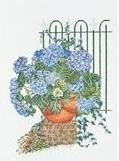 Blauwe Hortensia - Blue Hydrangea