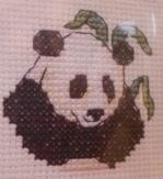 Panda - Panda bear  aida