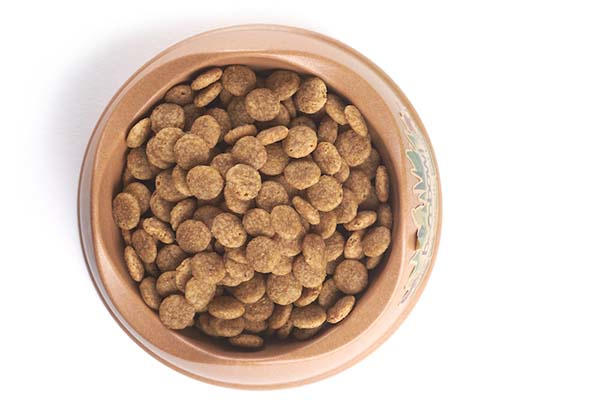 benevo organic dog food