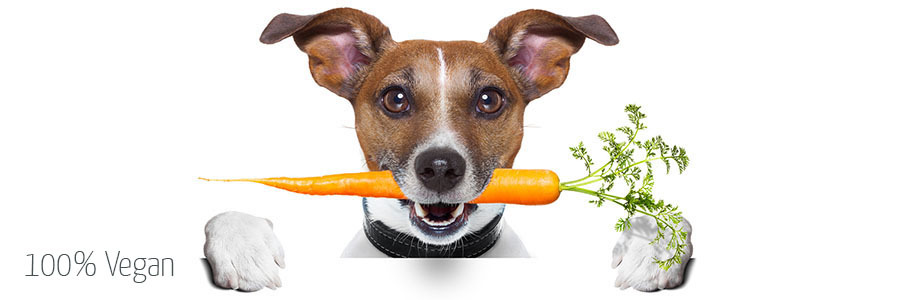 100% Vegan 100% Vegan