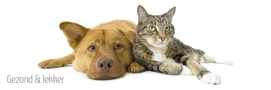 Vegetarisch/veganistisch/plantaardig hondenvoer en kattenvoer: gezond en lekker Vegetarisch/veganistisch/plantaardig hondenvoer en kattenvoer: gezond en lekker