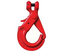 DELTA LOCK Veiligheids gaffelhaken - Grade 80 volgens EN 1677